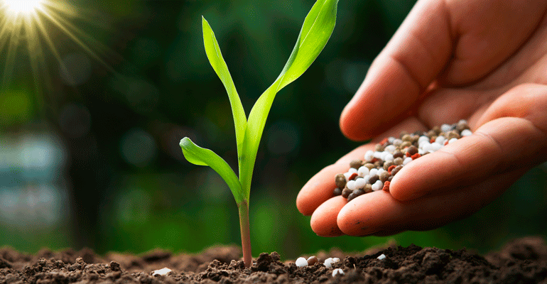 Neiker impulsa la transformación de residuos agroalimentarios en biofertilizantes para una agricultura más sostenible