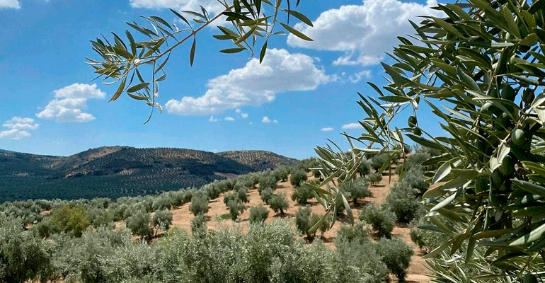 Expertos analizan las políticas climáticas como aliadas en el desarrollo sostenible del sector agroalimentario